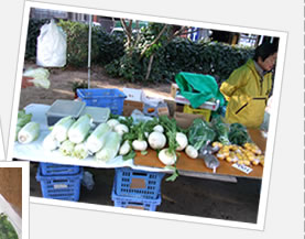 農家の方が、丹精こめて育てた野菜たち